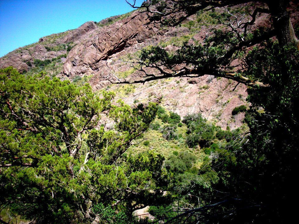 dripping springs