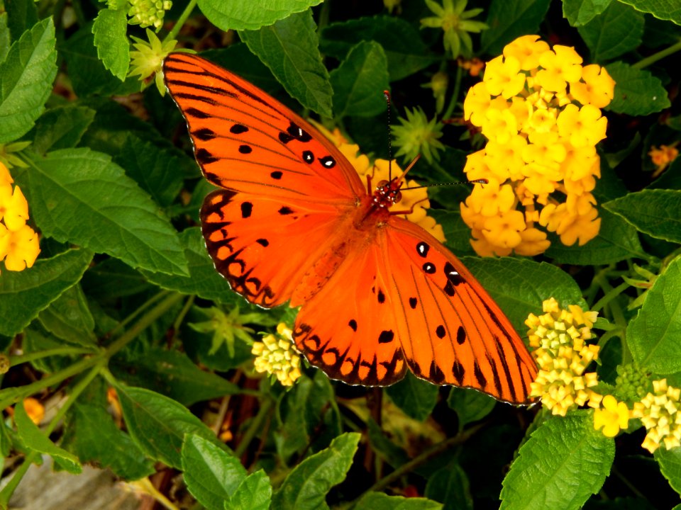 DSCN1753