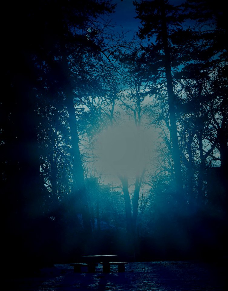 Spooky Cheesman Park Sunset