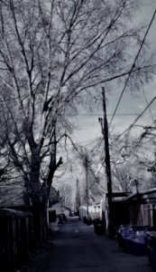 An interesting alley