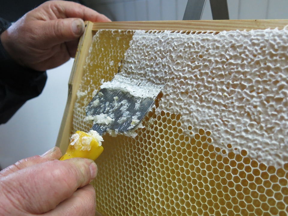 Frames pike perch beekeeper
