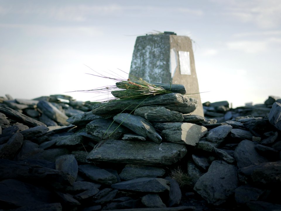 Rushes for Manannan on South Barrule