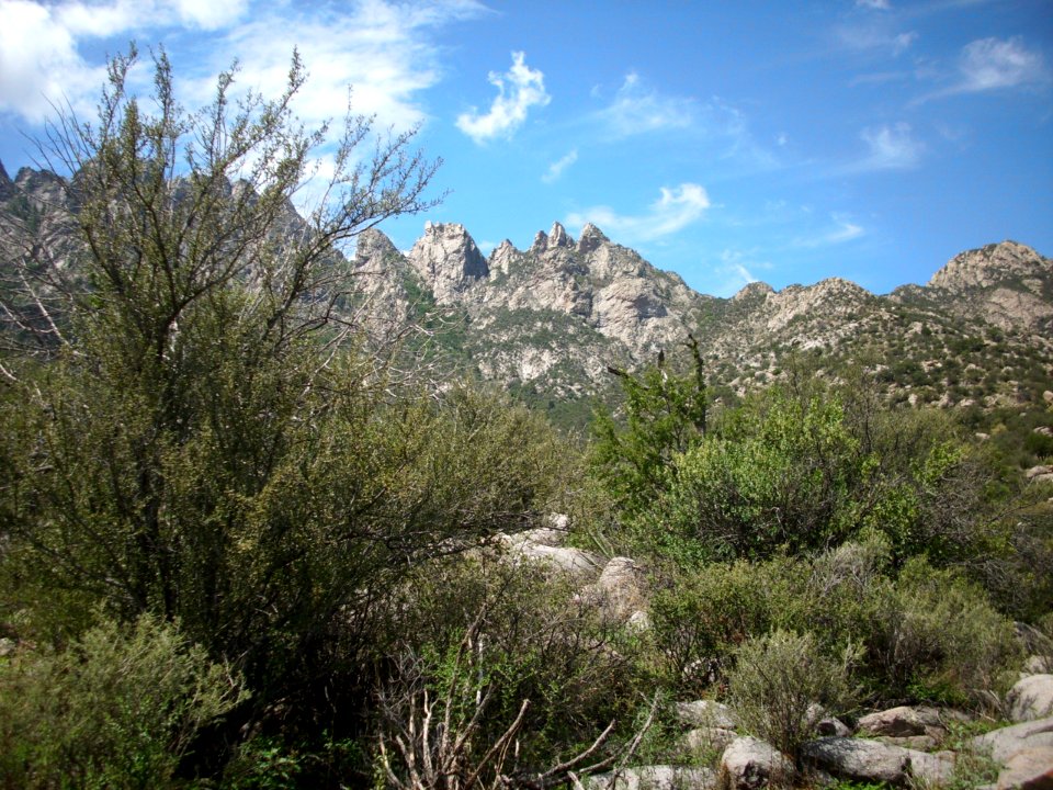 organ mountains-desert peaks national monument 21
