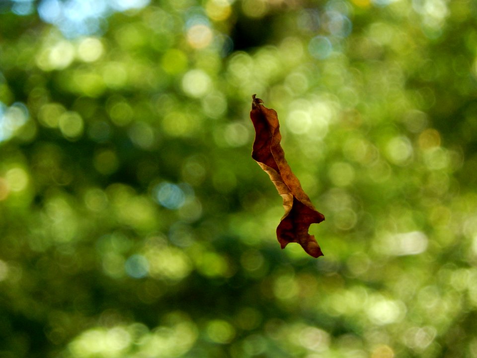 DSCN1262