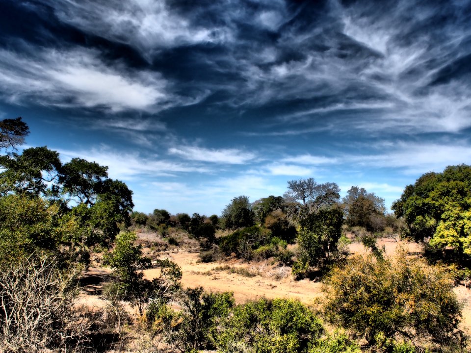 Kruger National Park