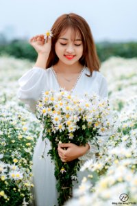 Đồng Văn Hùng; chụp ảnh cúc họa mi
