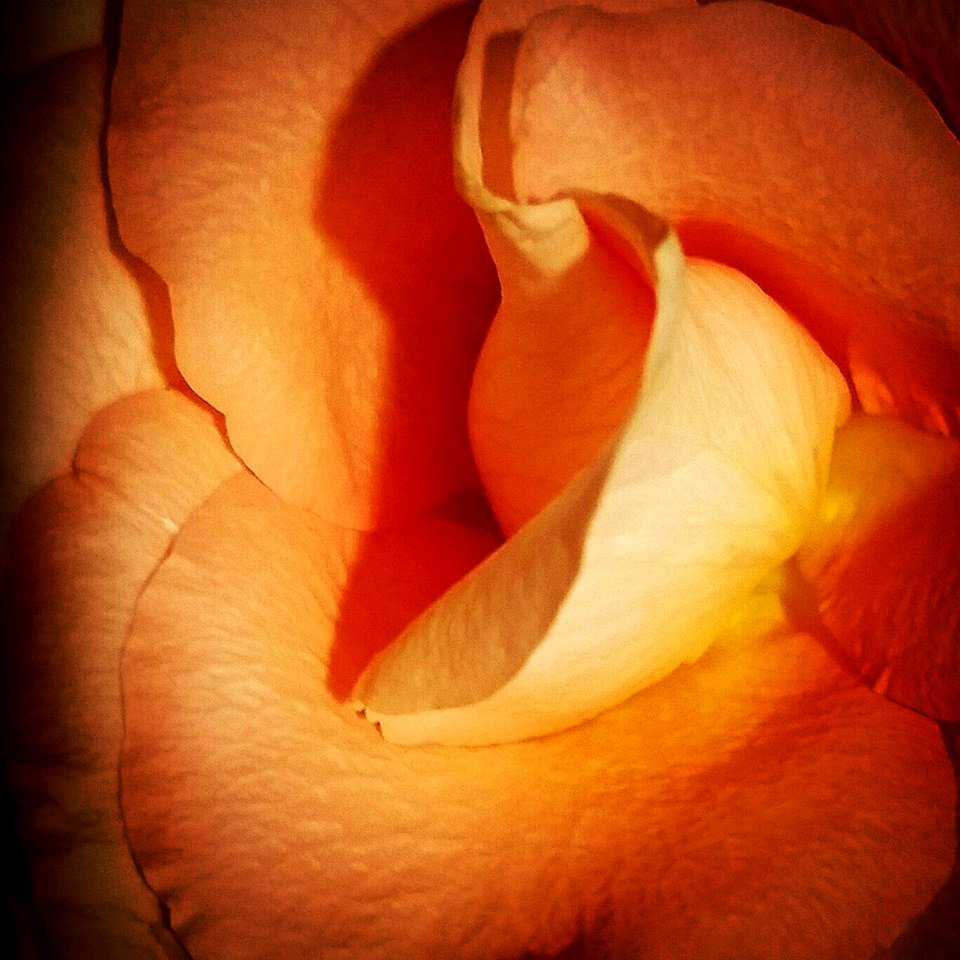 Peach Bellini