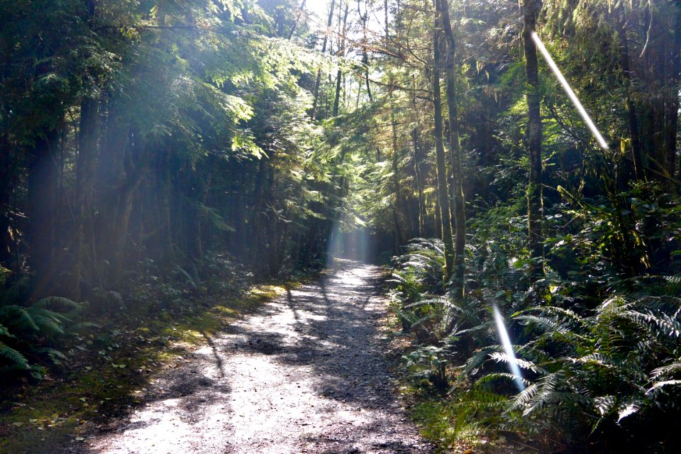 Port Renfrew, Vancouver Island