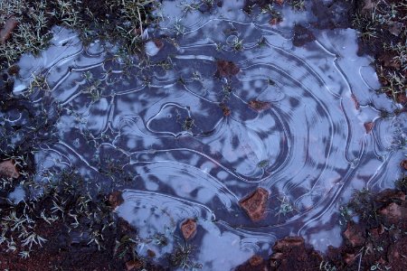 Frozen puddle