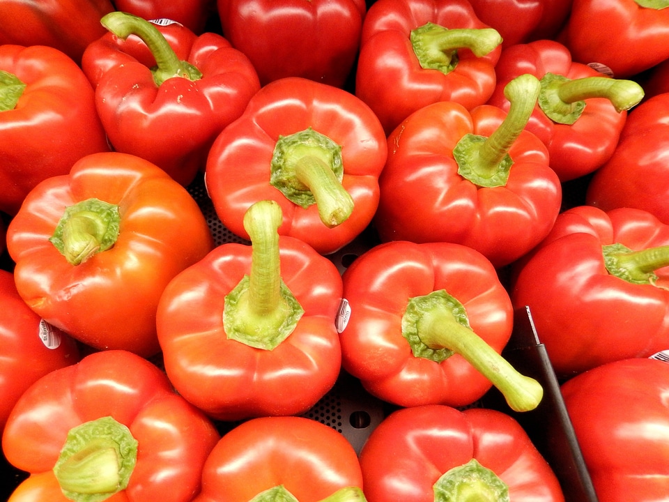 Fresh vegetable food