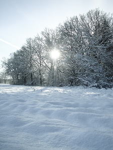 Landscape cold winter photo