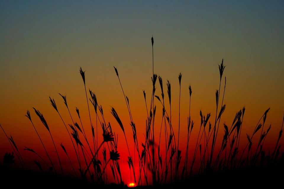 Red sky landscape