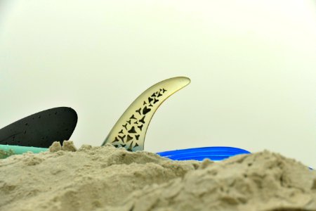 Shark tooth Fin-P1880368