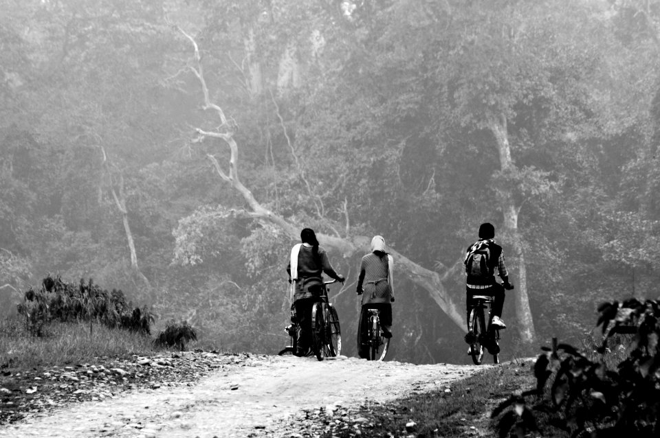 Tigerland, Bardiya national park, nepal