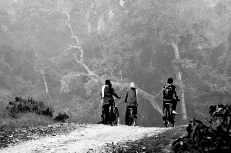 Tigerland, Bardiya national park, nepal photo