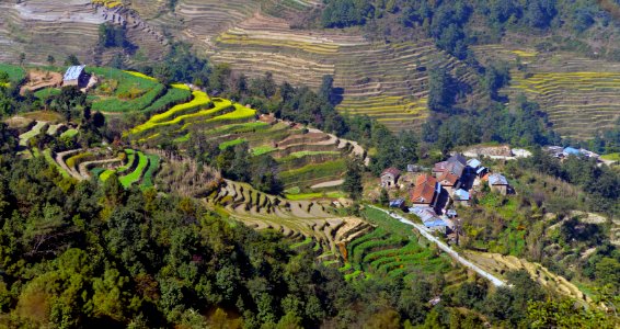 Phulbari, Nepal photo