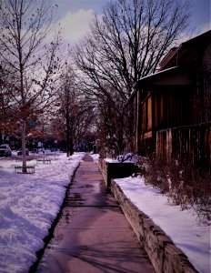 The Day after a Snowstorm