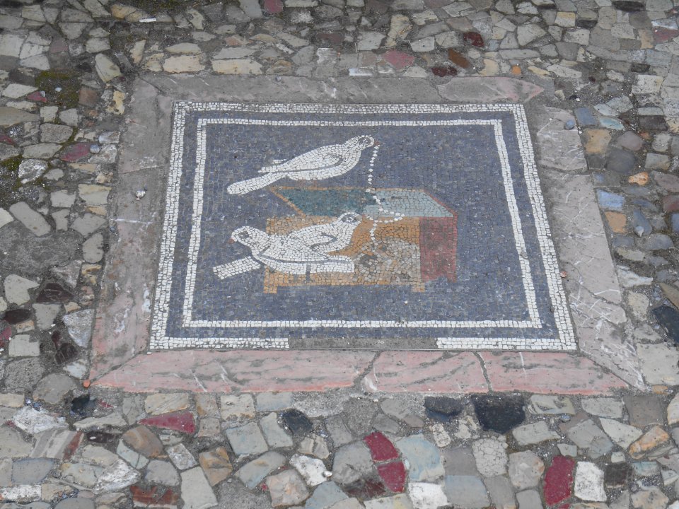 Mosaic, Pompei, Italy, Campania