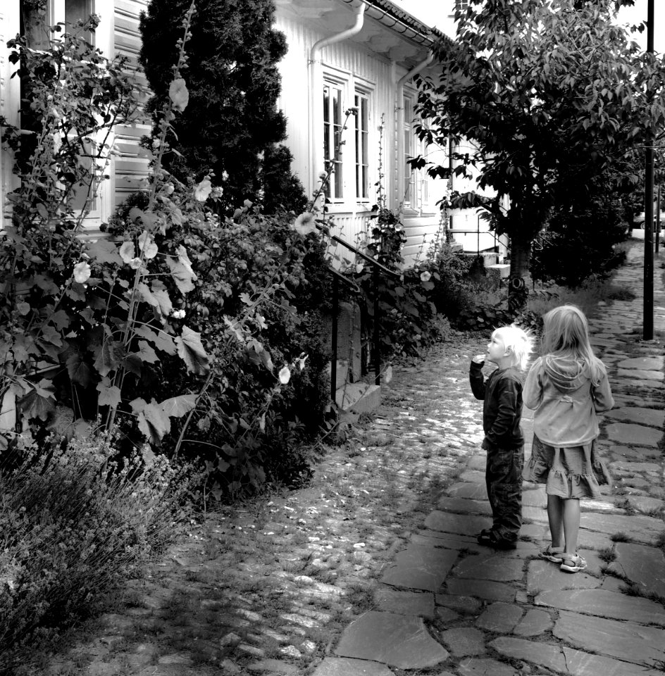 Posebyen, kristiansand