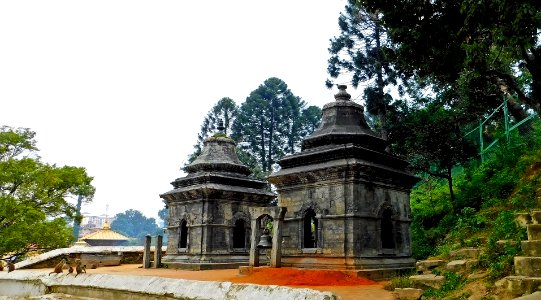 Shree Pashupatinath Temple