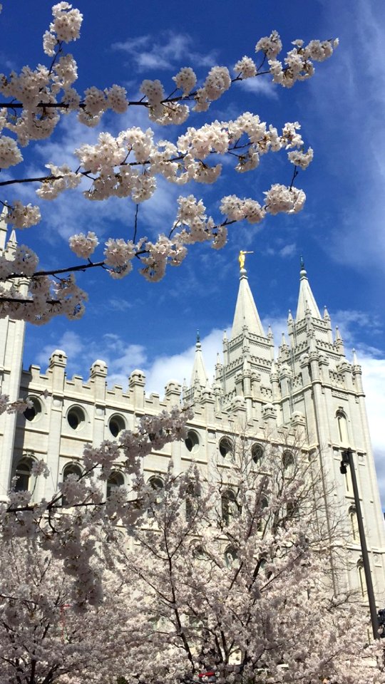 Springtime at the Salt Lake City LDS Temple