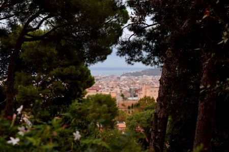 Finestrella