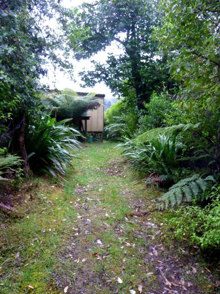 approach to cabin
