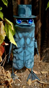 Mr. Frog!