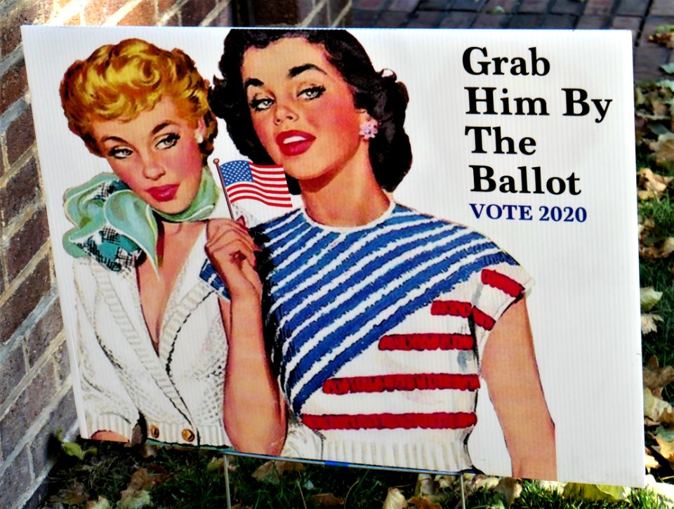 Grab Him By The Ballot