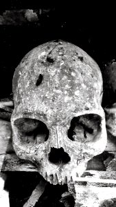 "Crying skull" - Auto genocide - Battambang - Cambodia photo