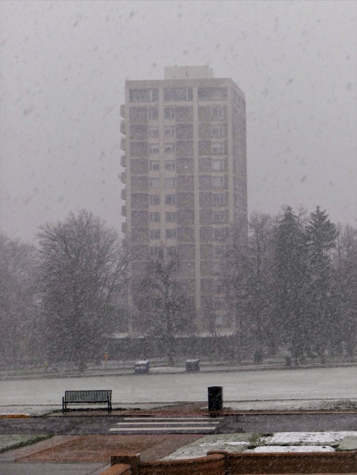 Perfect Weather in Denver's Cheesman Park