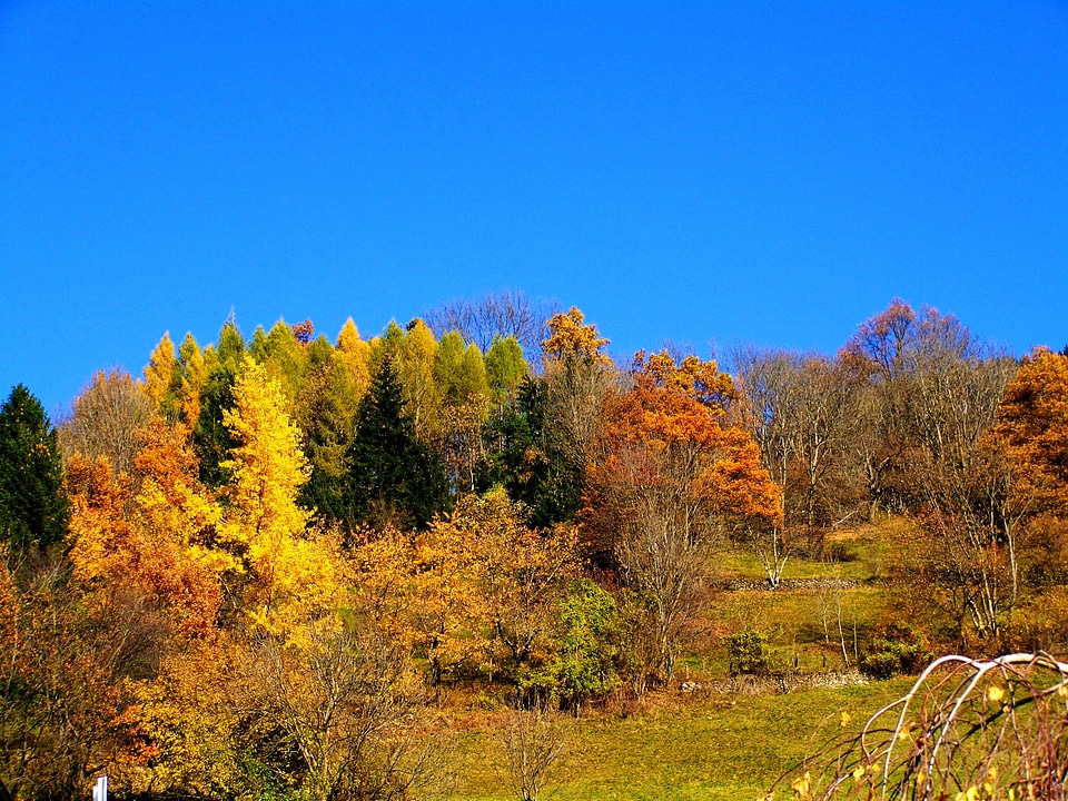 Autumn colorful autumn landscape blue sky