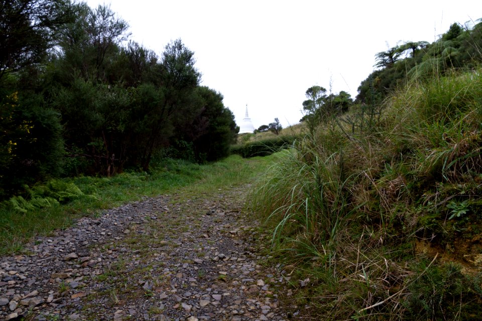 top of the Dharma Road
