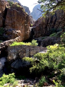 dripping springs