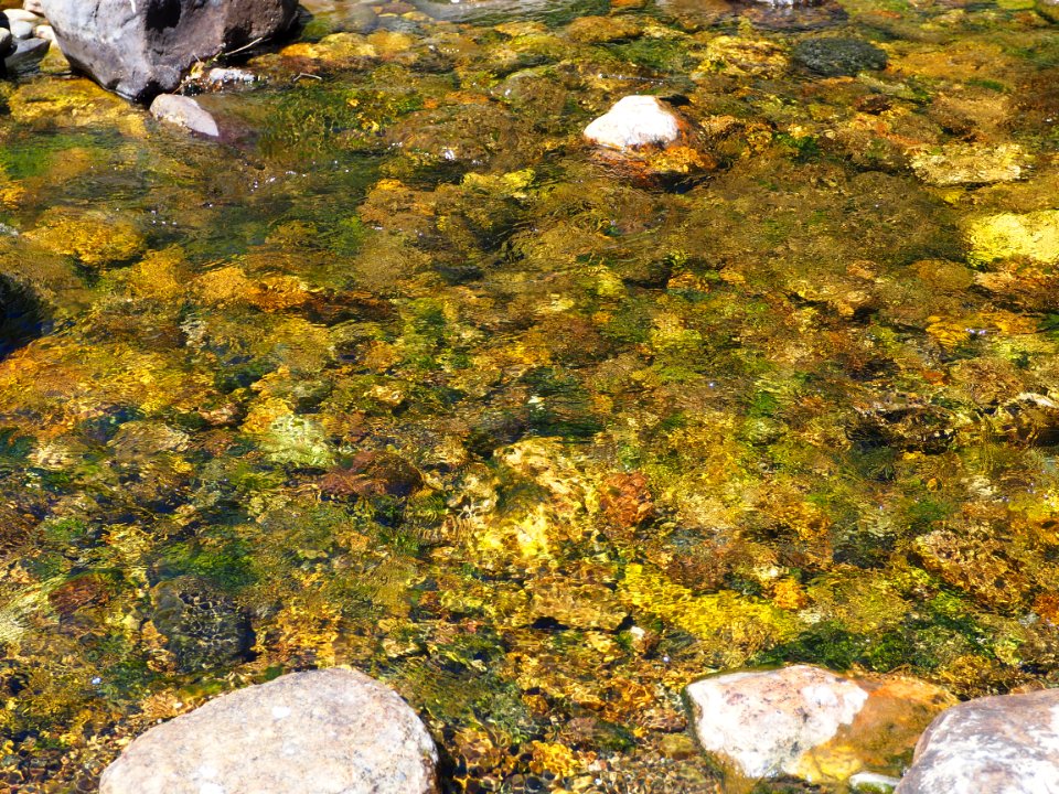 Portilla de la Reina (Esla)