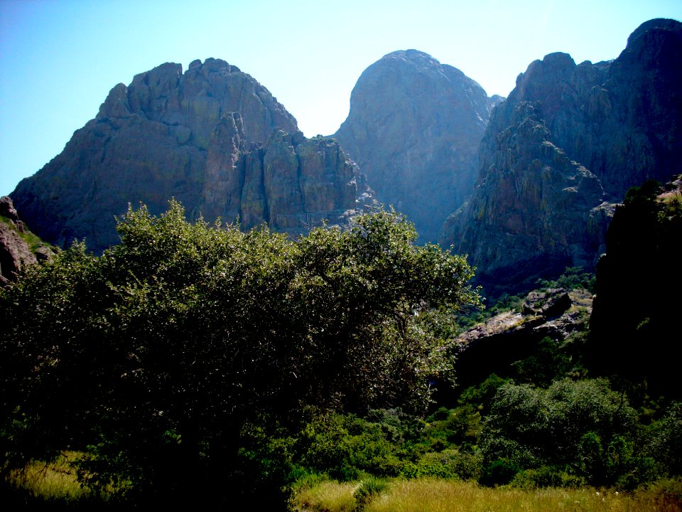 dripping springs