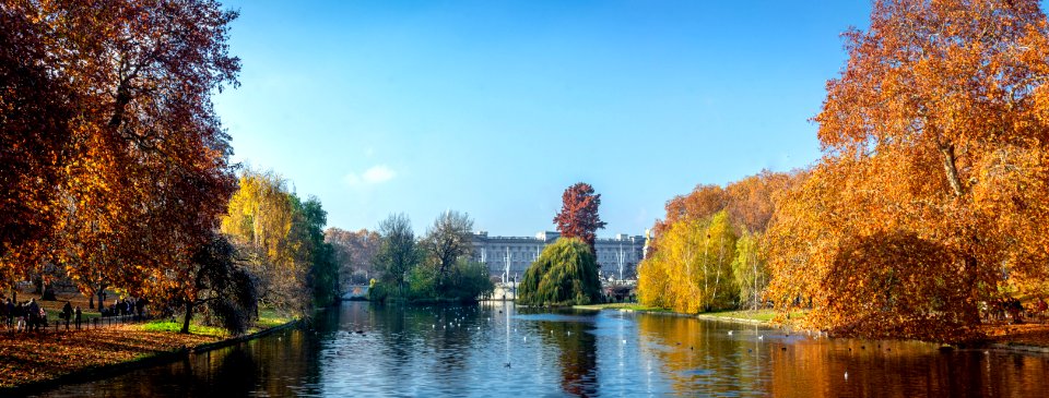 IMG 8907-Pano