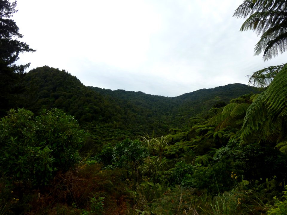 view Tararu valley