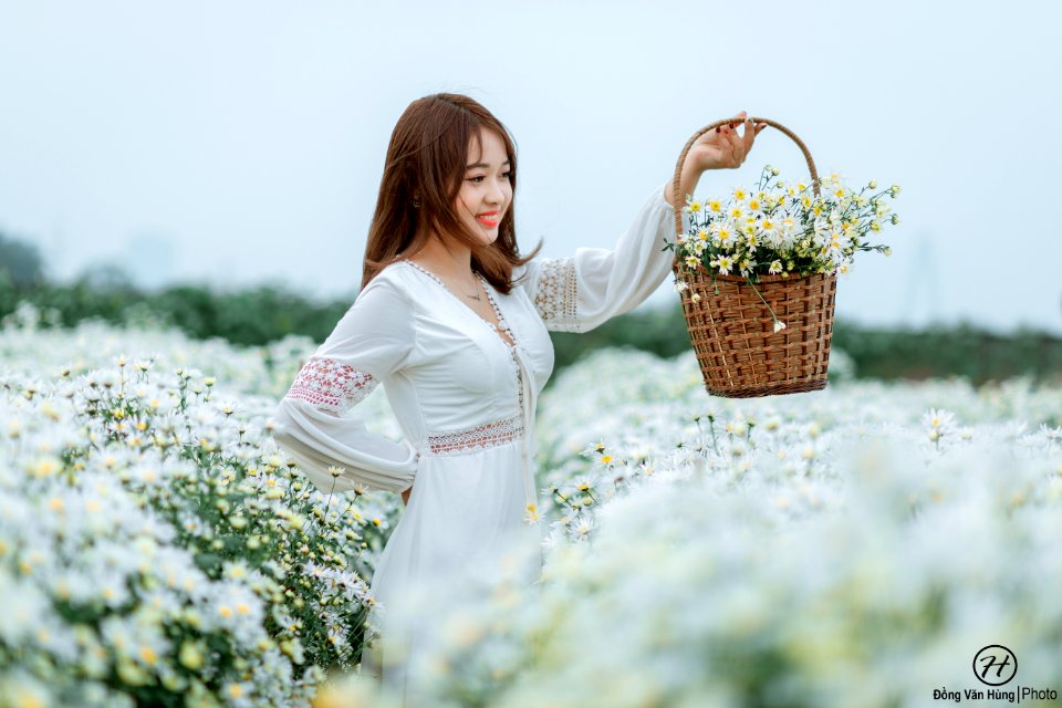 Đồng Văn Hùng; chụp ảnh cúc họa mi