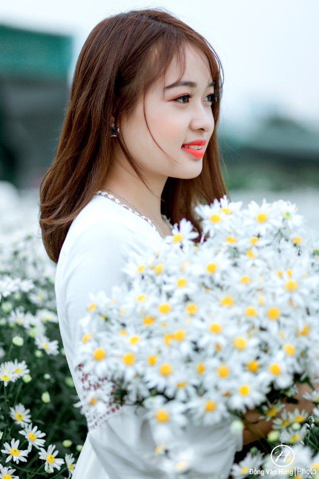 Đồng Văn Hùng; chụp ảnh cúc họa mi