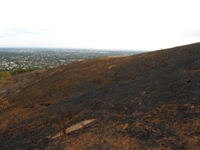 Brown Hill is black (View towards Adelaide CBD)