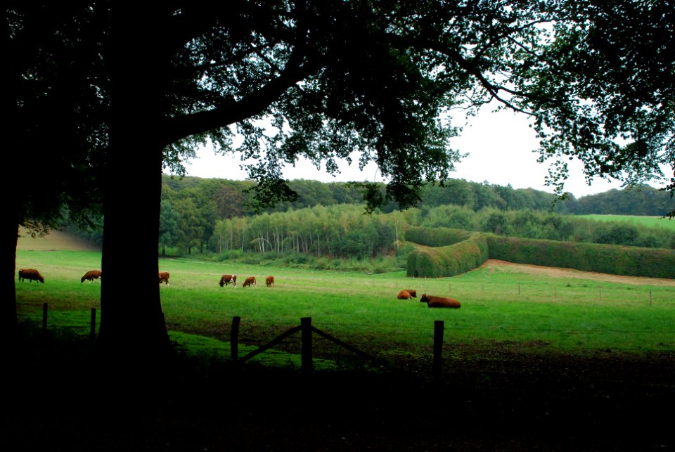 De Groene Bedstede