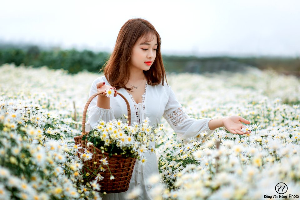 Đồng Văn Hùng; chụp ảnh cúc họa mi