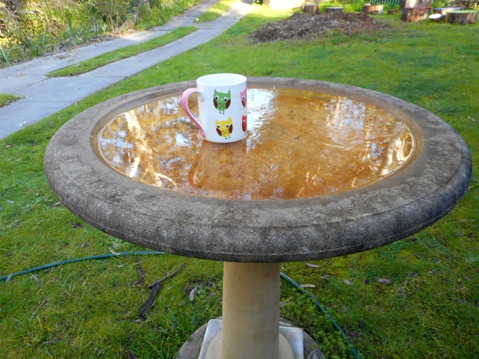 Frozen birdbath