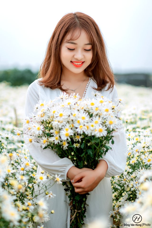 Đồng Văn Hùng; chụp ảnh cúc họa mi