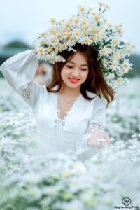 Đồng Văn Hùng; chụp ảnh cúc họa mi
