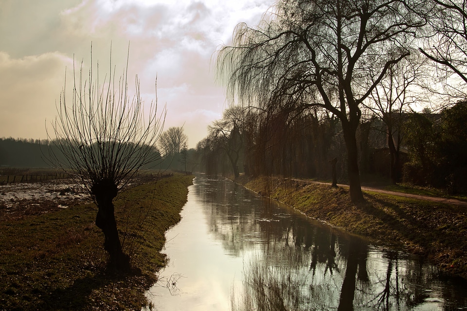 Landscape nature green