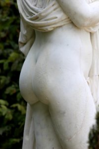 CAMILLE MORENOS - Venus