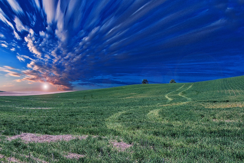 Grass green landscape