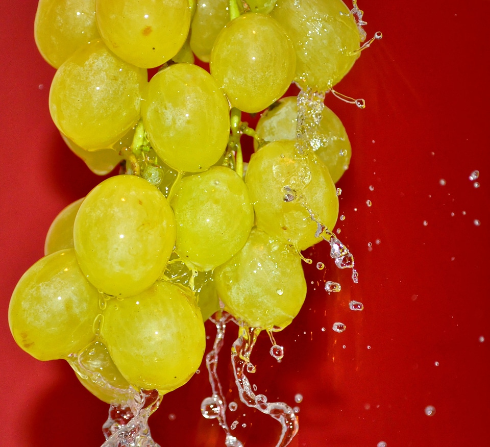 Water green grapes fruit